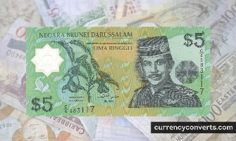 Brunei Dollar BND currency banknote image 2