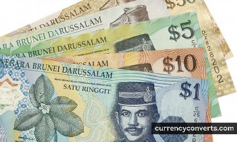 Brunei Dollar BND currency banknote image 3