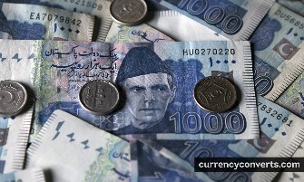 Pakistani Rupee PKR currency banknote image 2